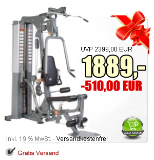 Impulse Fitness Multizugturm